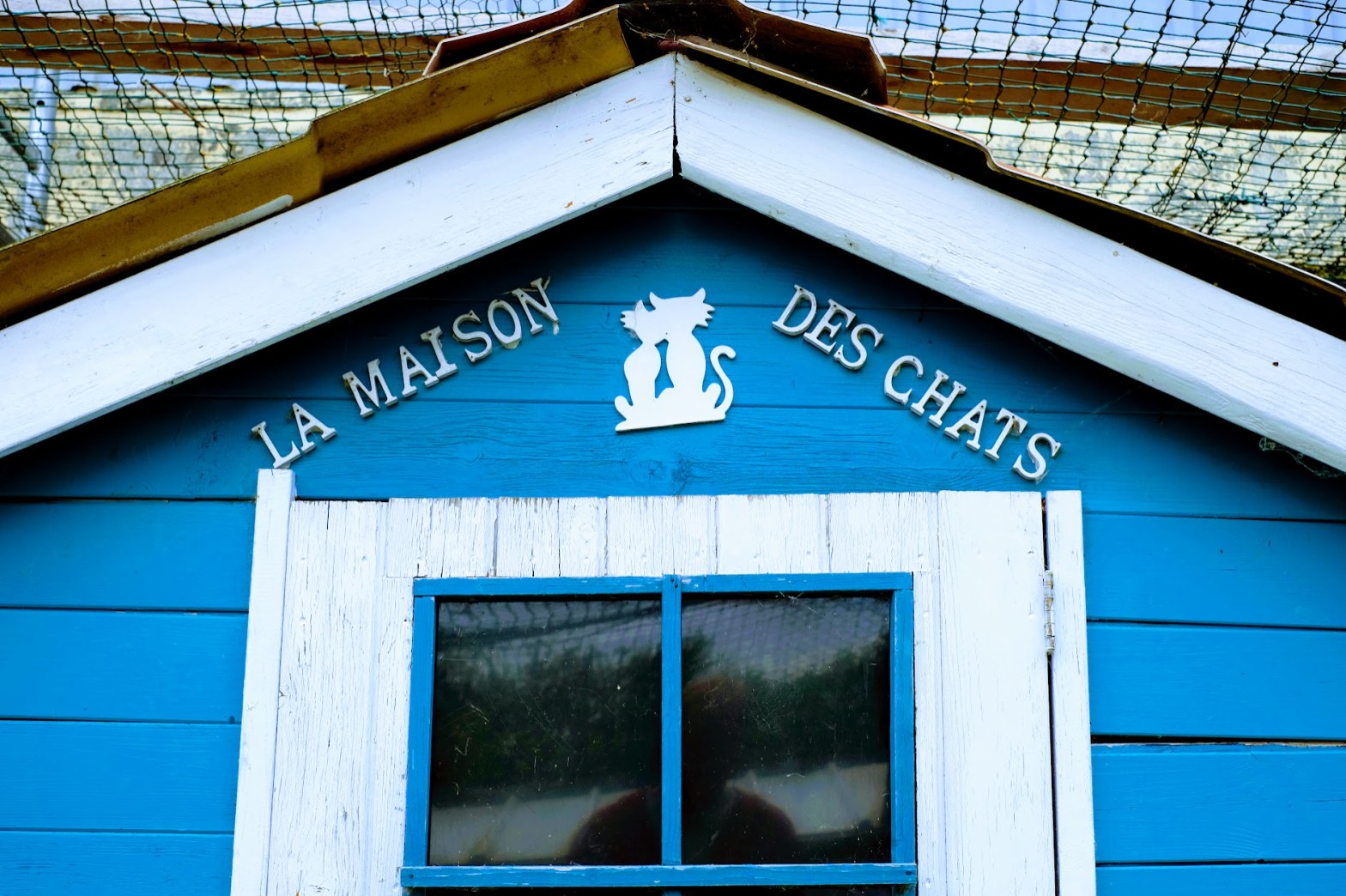 La maison des Chats du refuge Pas Si Bêtes